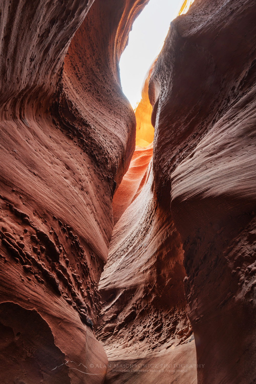 Spooky Gulch Slot Canyon. Grand Staircase-Escalante National Monument #84720