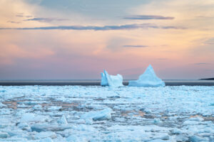 Iceberg and pack ice in Strait of Belle Isle glowing in evening light. South coast of Labrador. Newfoundland and Labrador Canada #80294