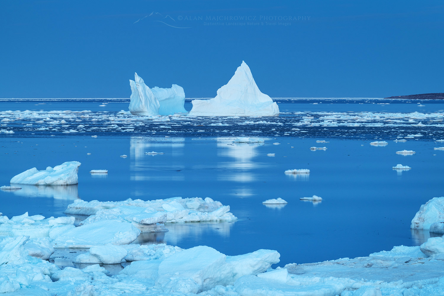 Iceberg and pack ice in Strait of Belle Isle, South coast of Labrador. Newfoundland and Labrador Canada #80301