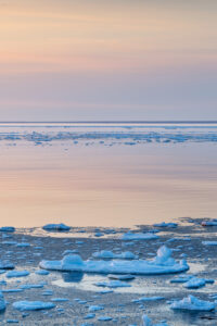 Pack ice in the Strait of Belle Isle along the south coast of Labrador. Newfoundland and Labrador Canada #80320b