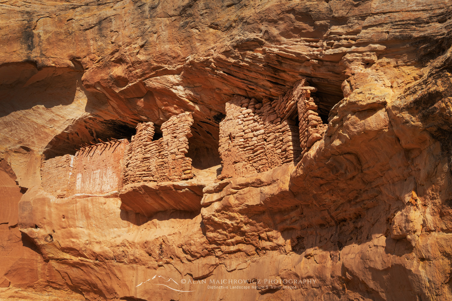 Target Ruins, Bears Ears National Monument, Utah #85242