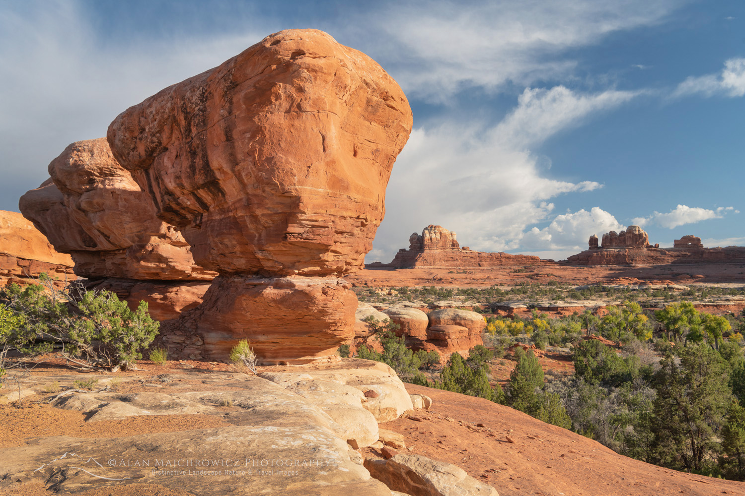 Wooden Shoe Arch Overlook, Needles District, Canyonlands National Park Utah #85278