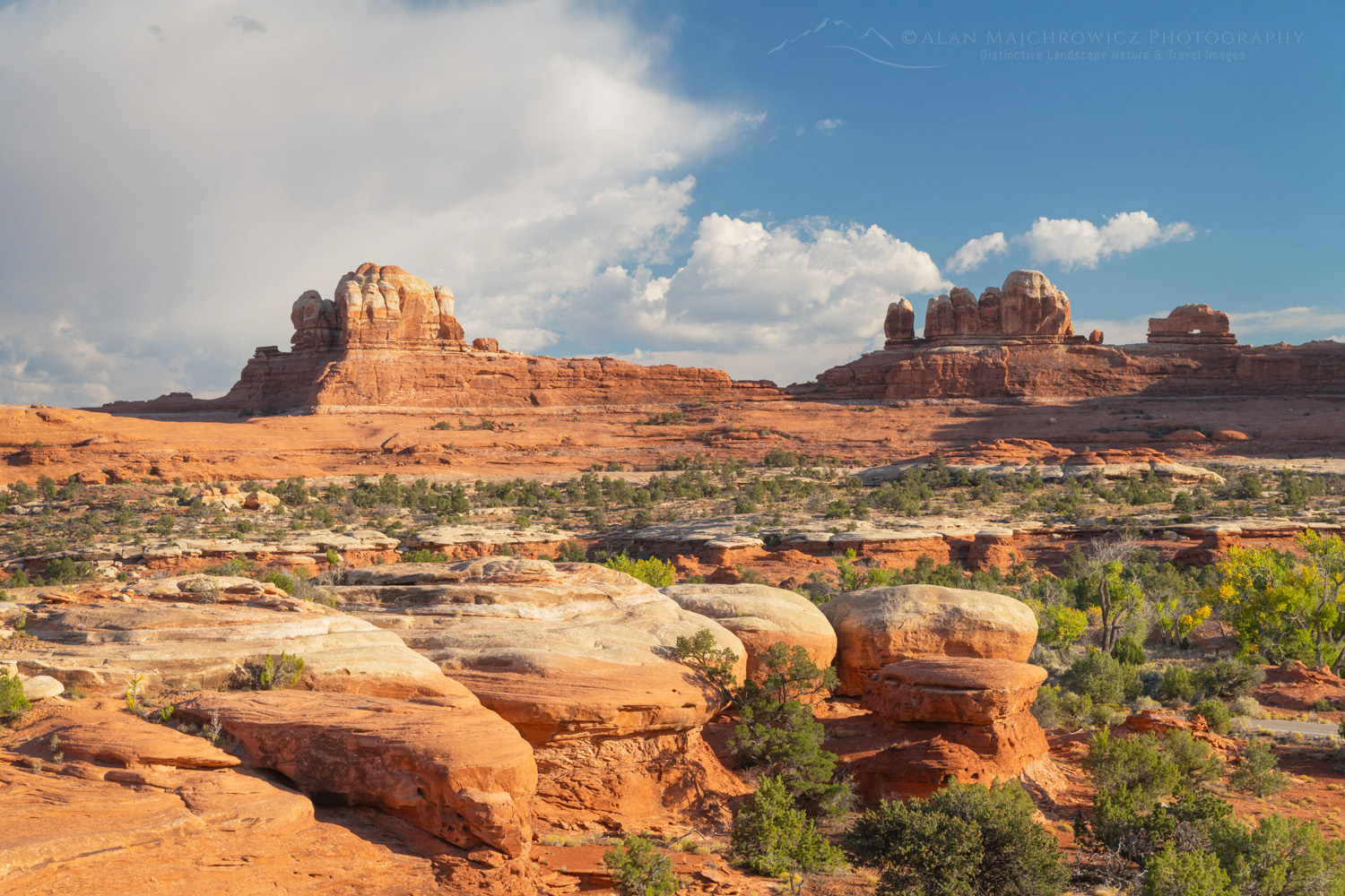 Wooden Shoe Arch Overlook, Needles District, Canyonlands National Park Utah #85283