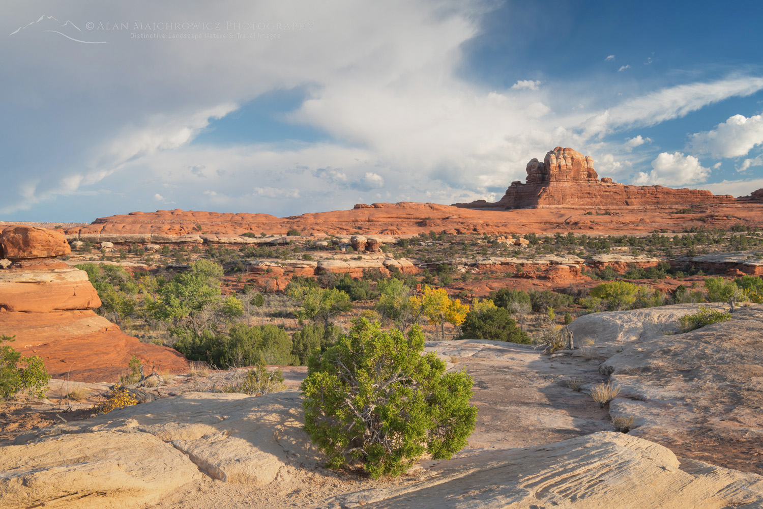 Wooden Shoe Arch Overlook, Needles District, Canyonlands National Park Utah #85296