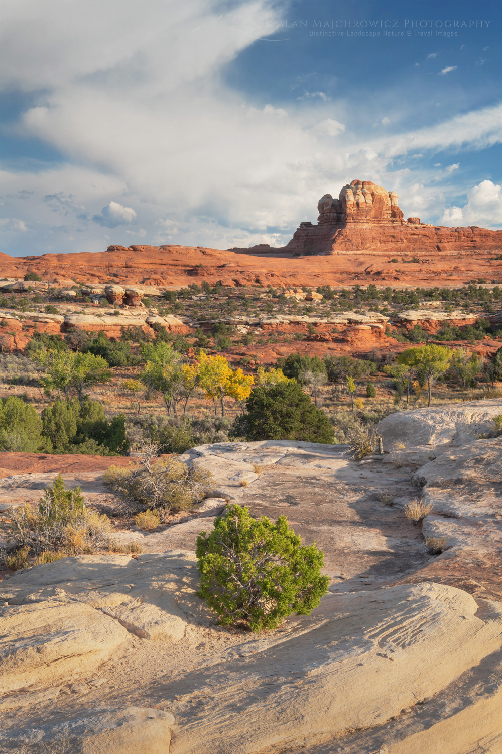 Wooden Shoe Arch Overlook, Needles District, Canyonlands National Park Utah #85300