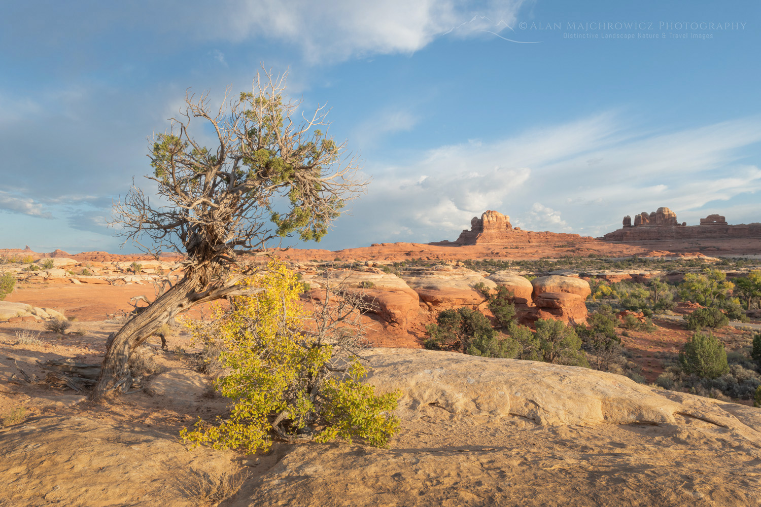 sunset at Wooden Shoe Arch Overlook, Needles District, Canyonlands National Park Utah #85321