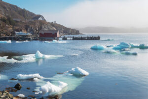 Red Fishing Stages near Twillingate, Newfoundland and Labrador Canada #79861