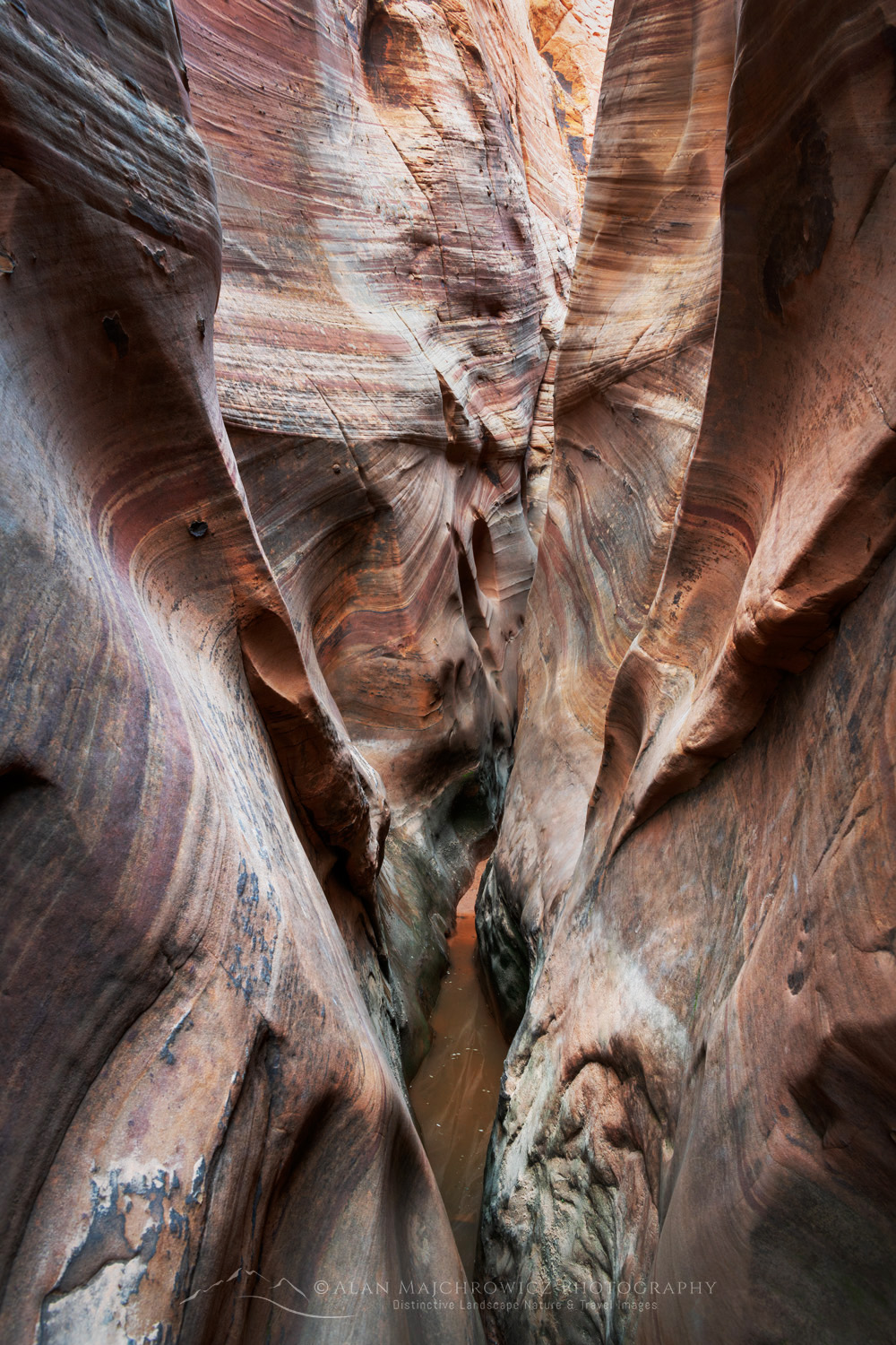 Zebra Slot Canyon. Grand Staircase-Escalante National Monument Utah #84600