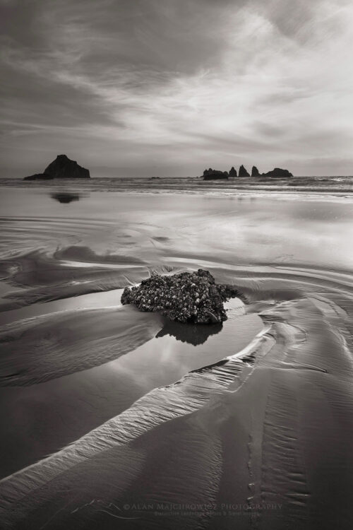 Low tide at Bandon Beach, Oregon #83055bw