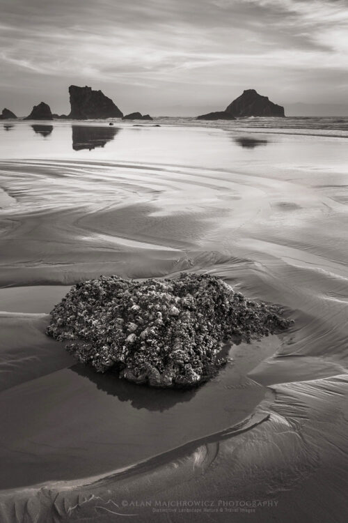 Low tide at Bandon Beach, Oregon #83062bw