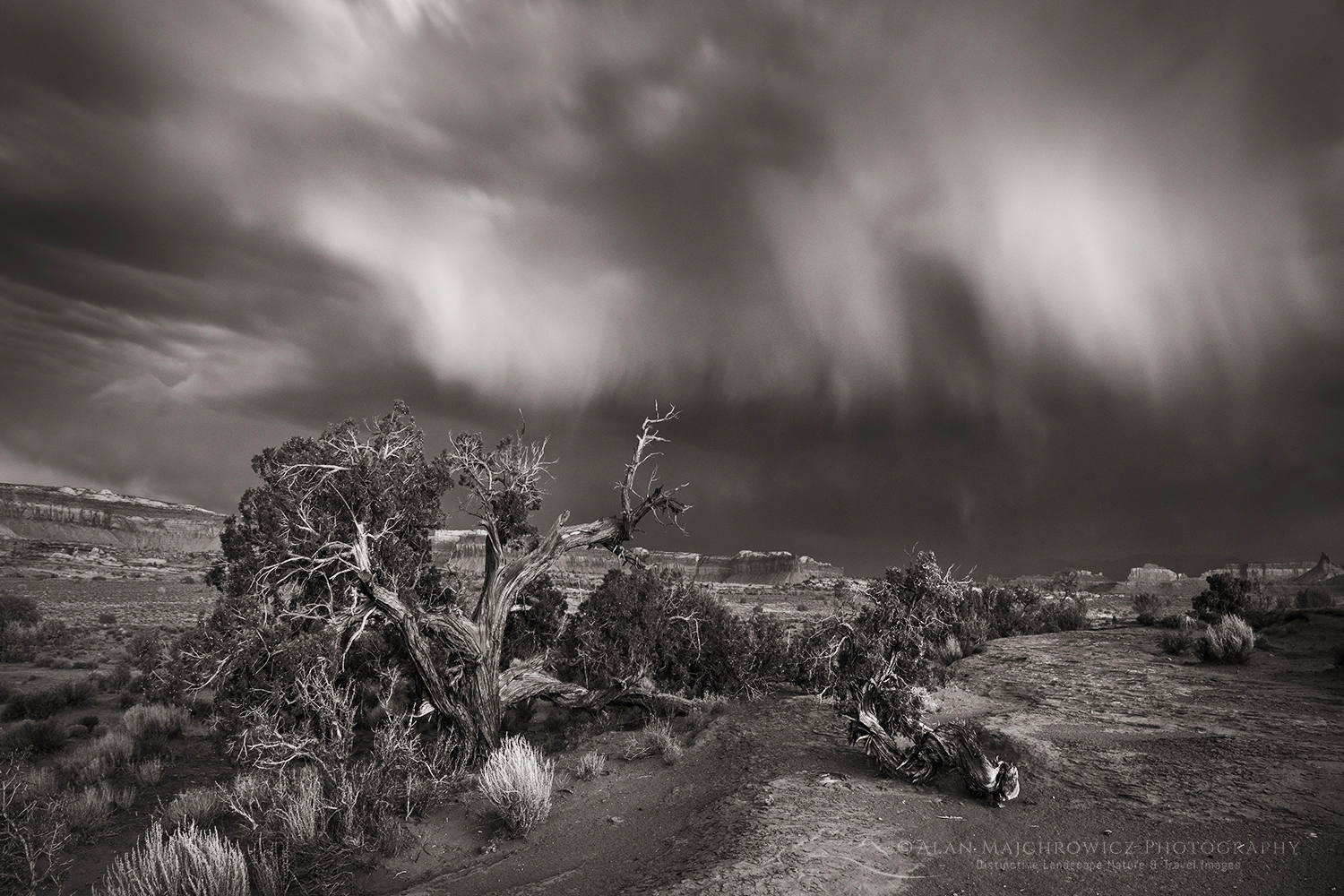 Evening storm Bears Ears National Monument, Utah #85405bw