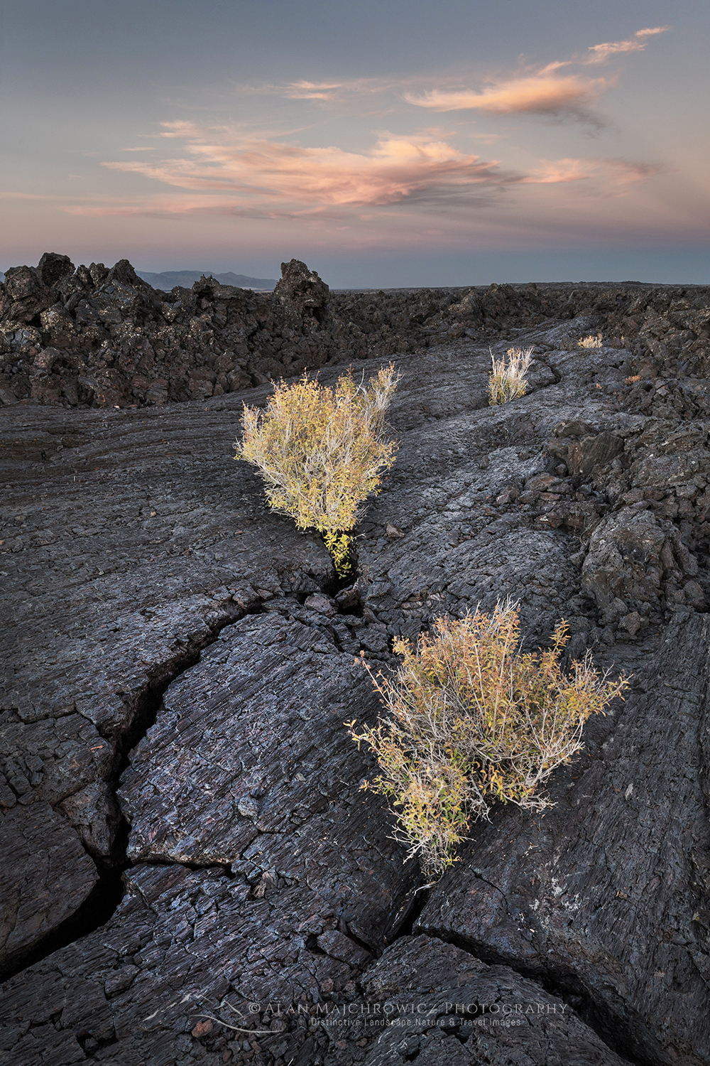 Twilight alpenglow over Blue Dragon Lava Flow, Craters of the Moon National Monument #73897r