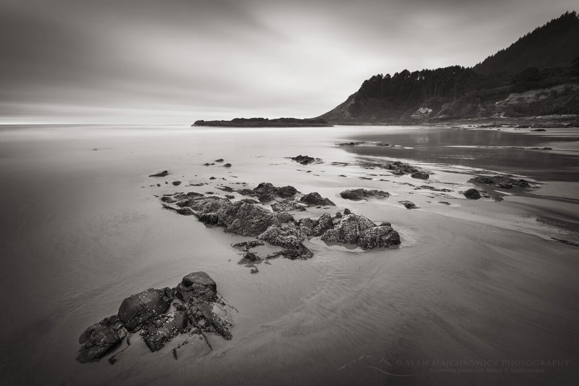 Strawberry Hill Beach Oregon #83320bw