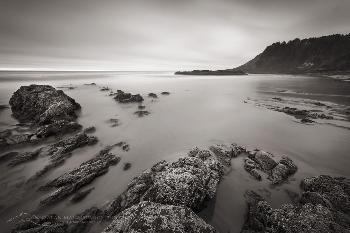 Strawberry Hill Beach Oregon #83321bw
