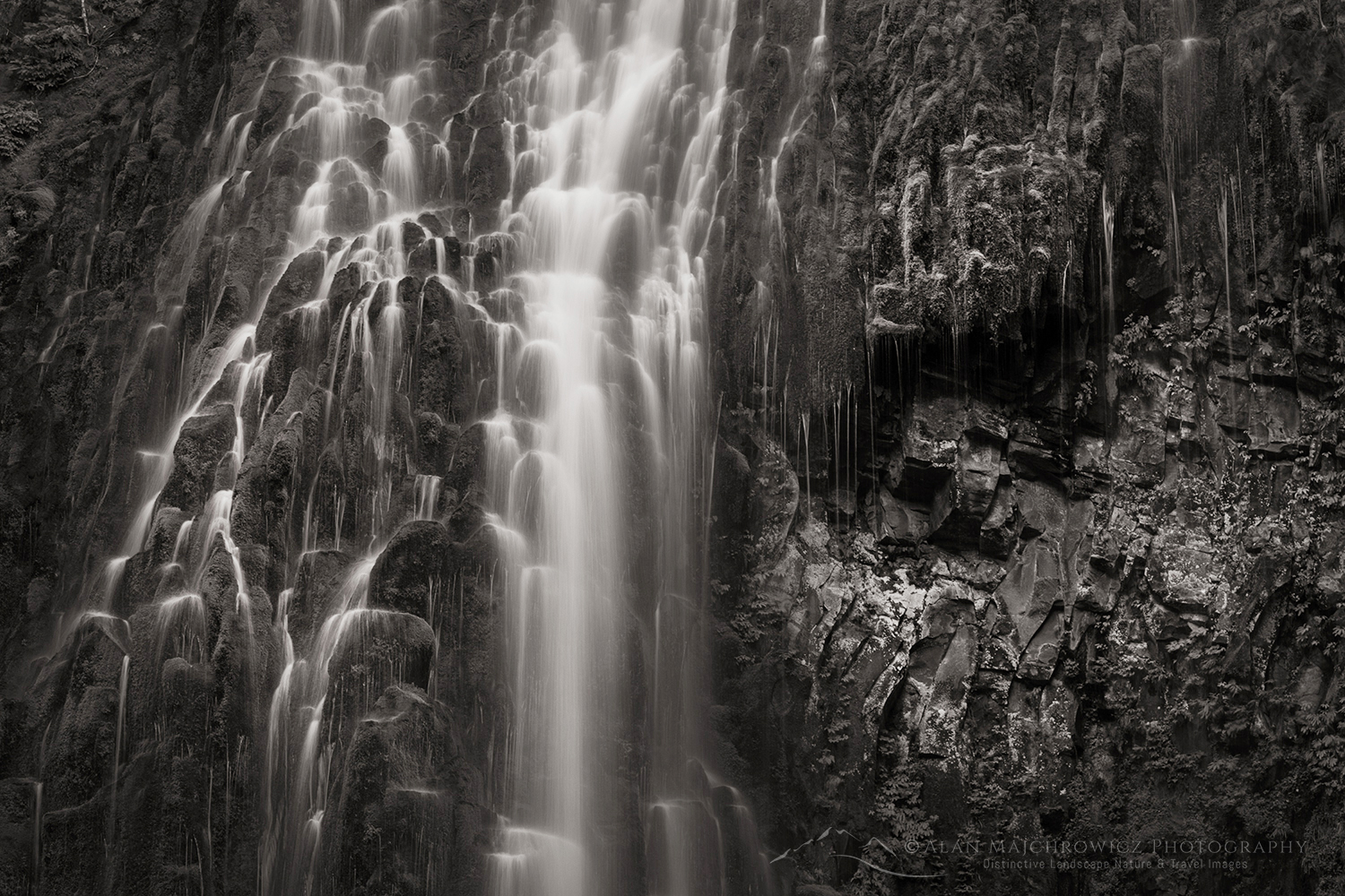 Proxy Falls Oregon Willamette National Forest, Oregon #84268bw