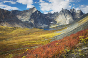 Grizzly Creek valley displaying tundra in full autumn color, Tombstone Territorial Park Yukon Canada #15190