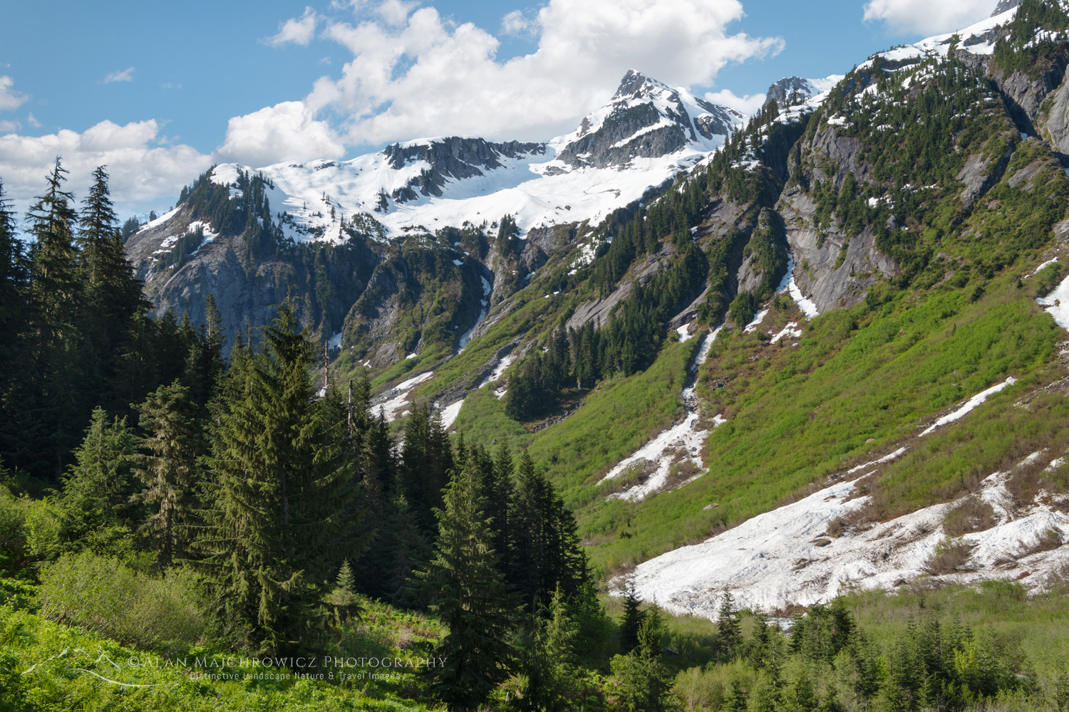 Ruth Creek Valley, Mount Baker Wilderness. Mt. Baker-Snoqualmie National Forest, North Cascades, Washington #85896