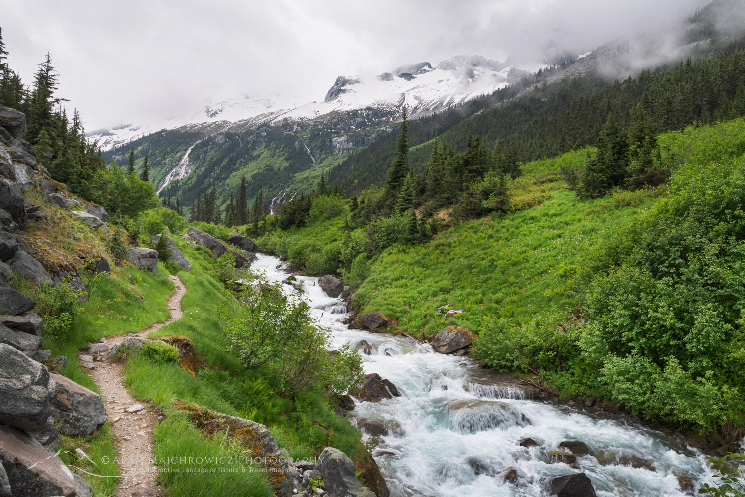 Asulkan Creek along the Asulkan Valley Trail. Glacier National Park, Selkirk Mountains, British Columbia #85996