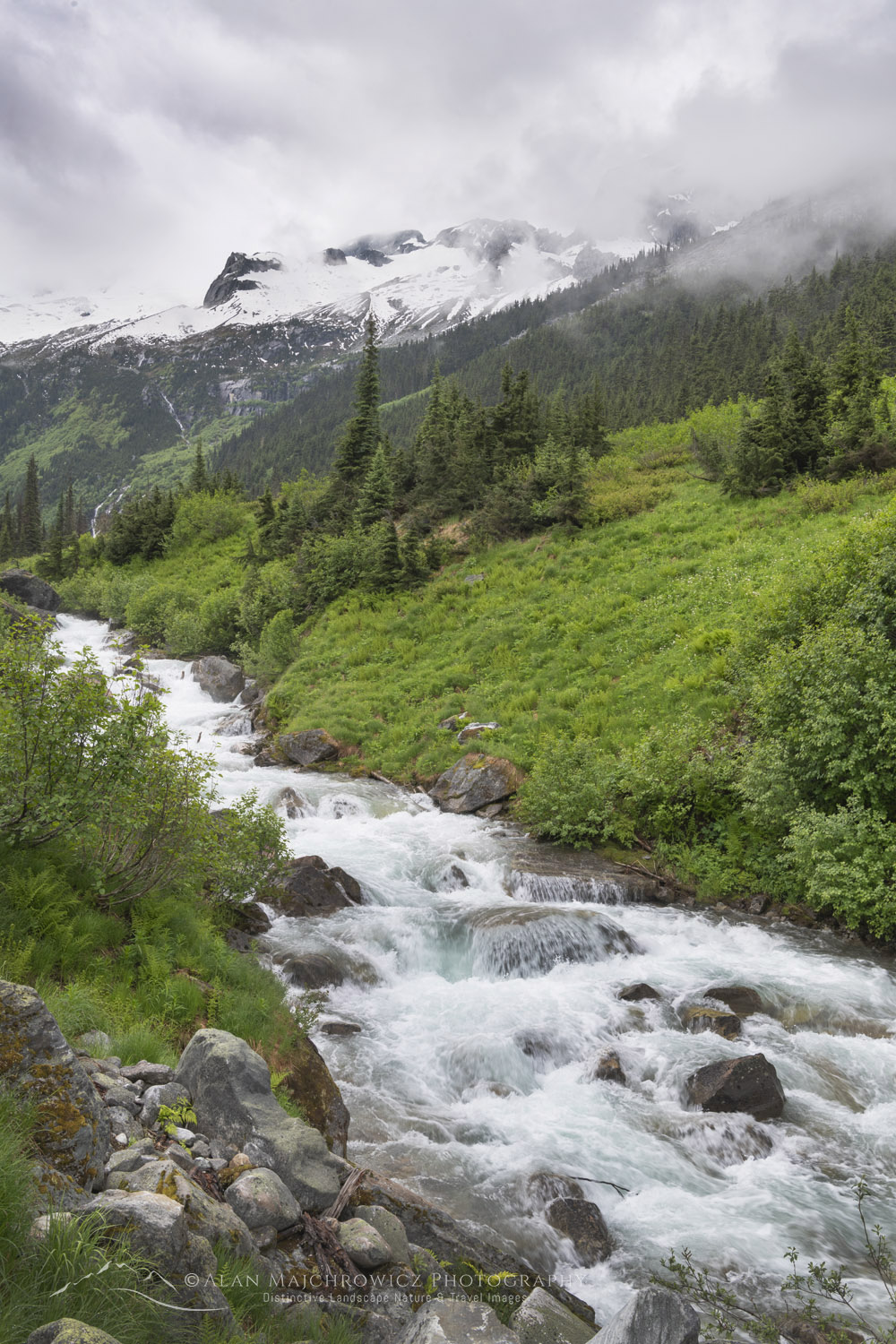 Asulkan Creek along the Asulkan Valley Trail. Glacier National Park, Selkirk Mountains, British Columbia #85999