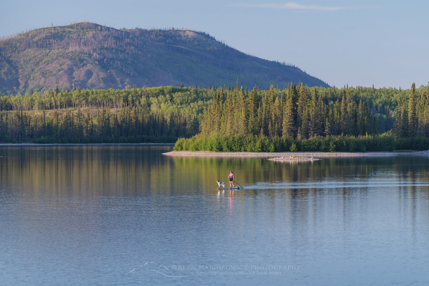 Woman and dog on a paddleboard on Boya Lake. Tā Ch'ilā Park (Boya Lake Park), British Columbia #86928