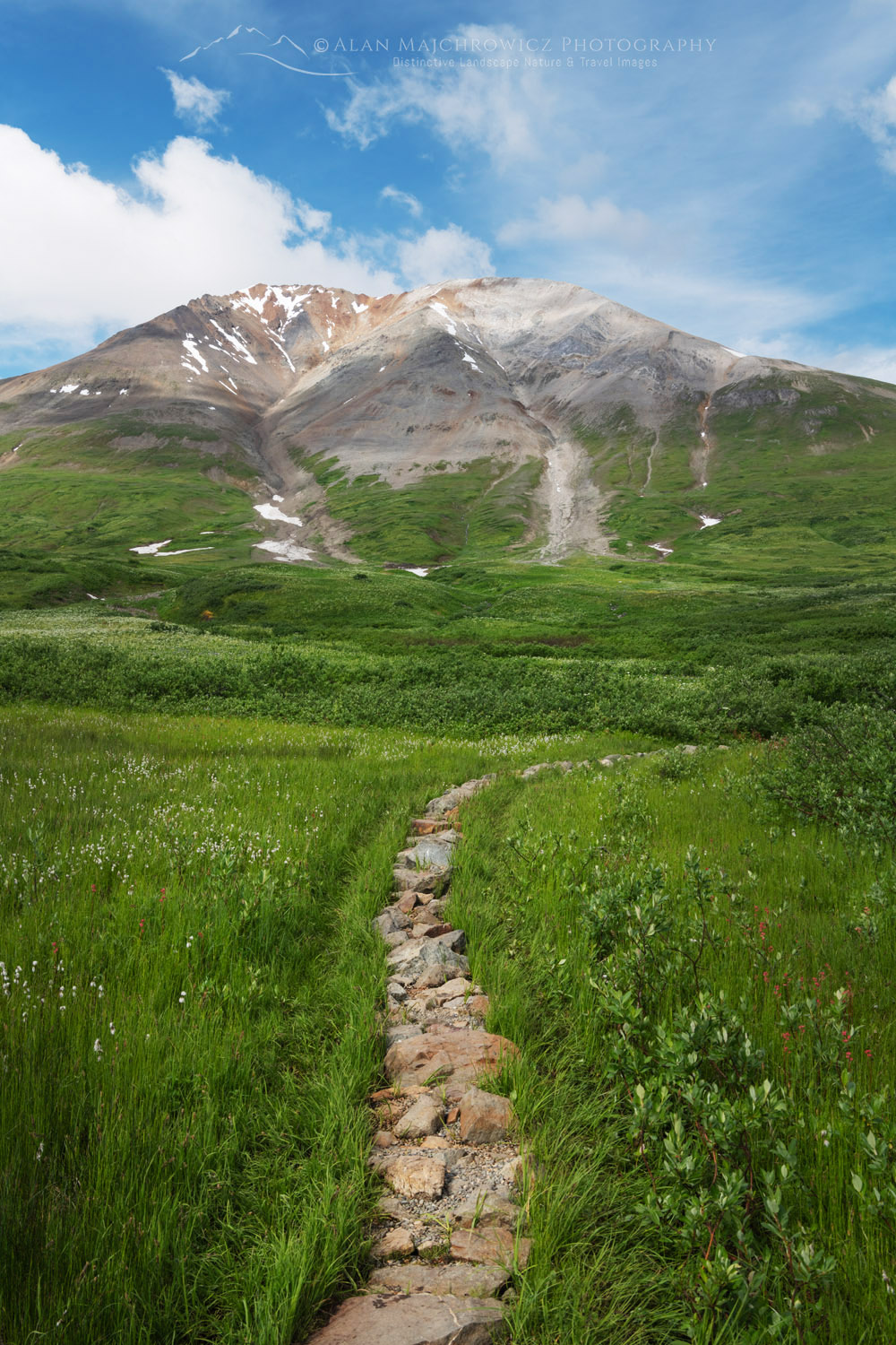 Chuck Creek Trail and Nadahini Mountain, Alsek Range, southeasternmost subdivision of the Saint Elias Mountains. British Columbia. Tatshenshini-Alsek Park, British Columbia #86879