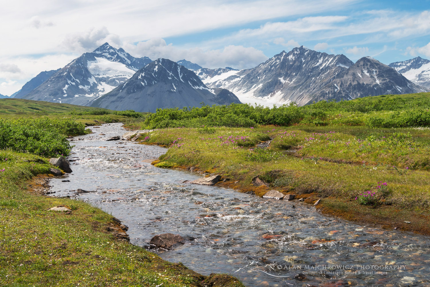 Samuel Glacier, seen from Chuck Creek Trail. Tatshenshini-Alsek Park, British Columbia #86864