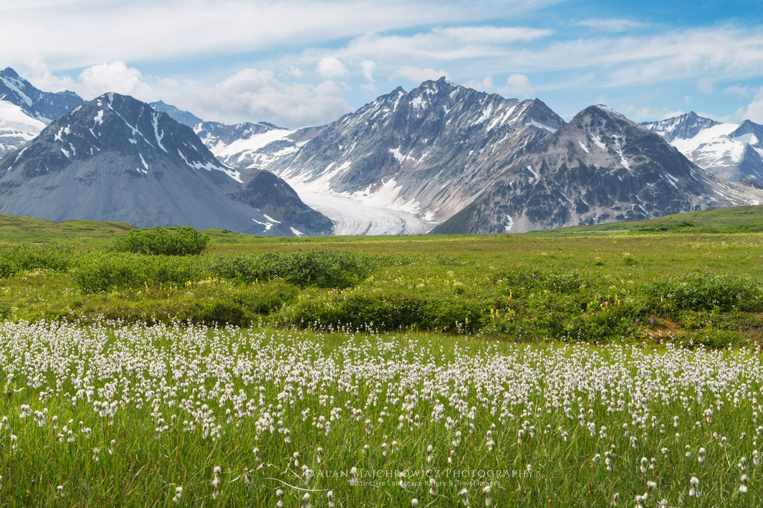 Samuel Glacier, seen from Chuck Creek Trail. Tatshenshini-Alsek Park, British Columbia #86869