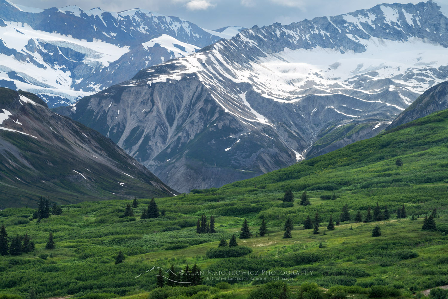 Alsek Range, southeasternmost subdivision of the Saint Elias Mountains. Tatshenshini-Alsek Park British Columbia #86820