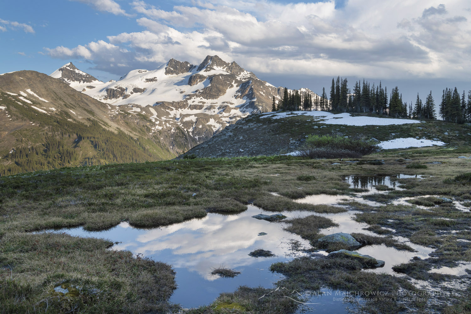 Twin Towers, Cony Peak, and Spillimacheen Glacier, seen from Silent Mountain. Purcell Mountains British Columbia #86217