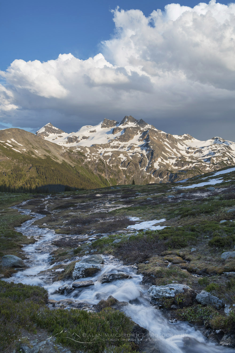 Twin Towers, Cony Peak, and Spillimacheen Glacier, seen from Silent Mountain. Purcell Mountains British Columbia #86234