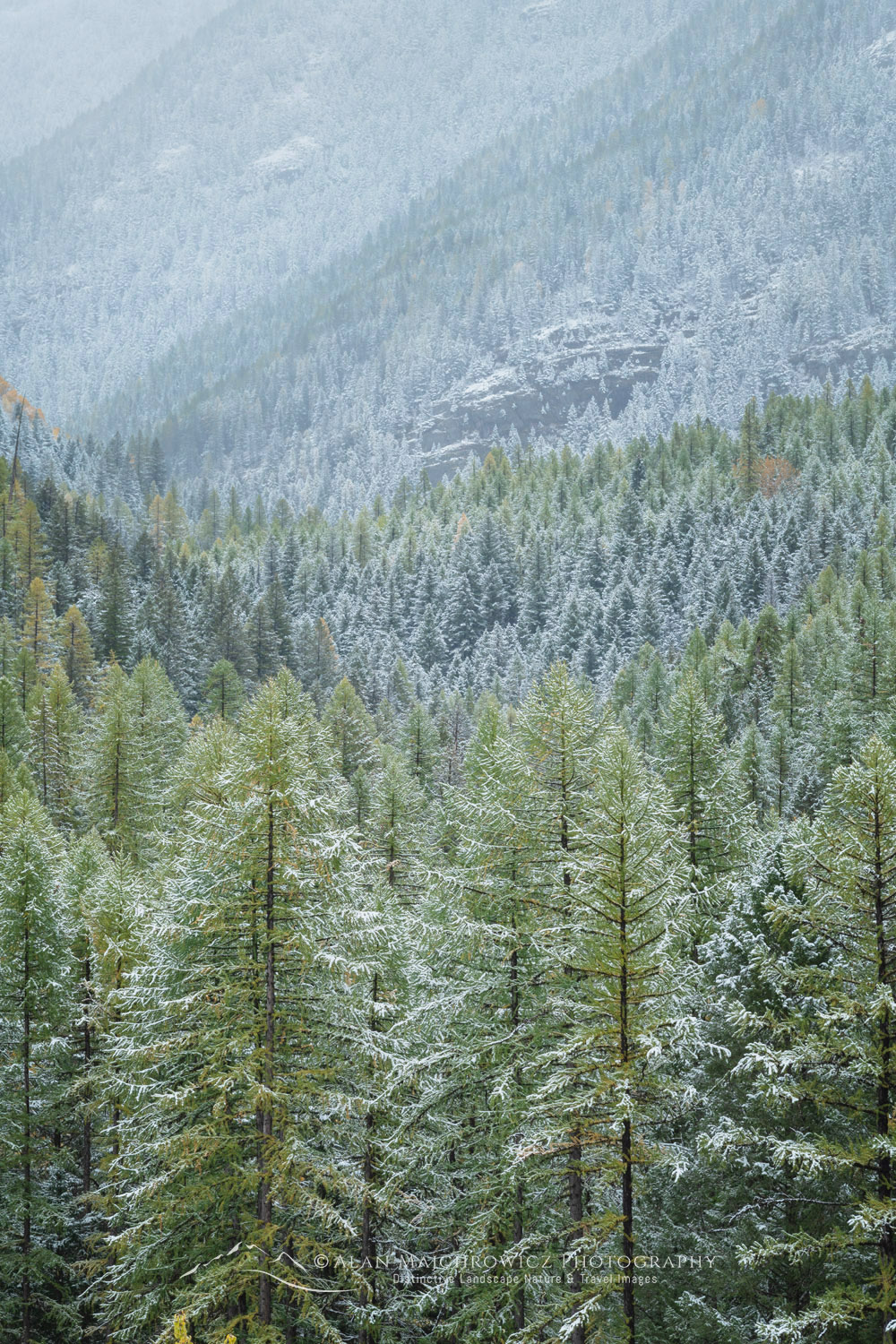 Autumn snow along the Middle Fork Flathead River. Glacier National Park, Montana