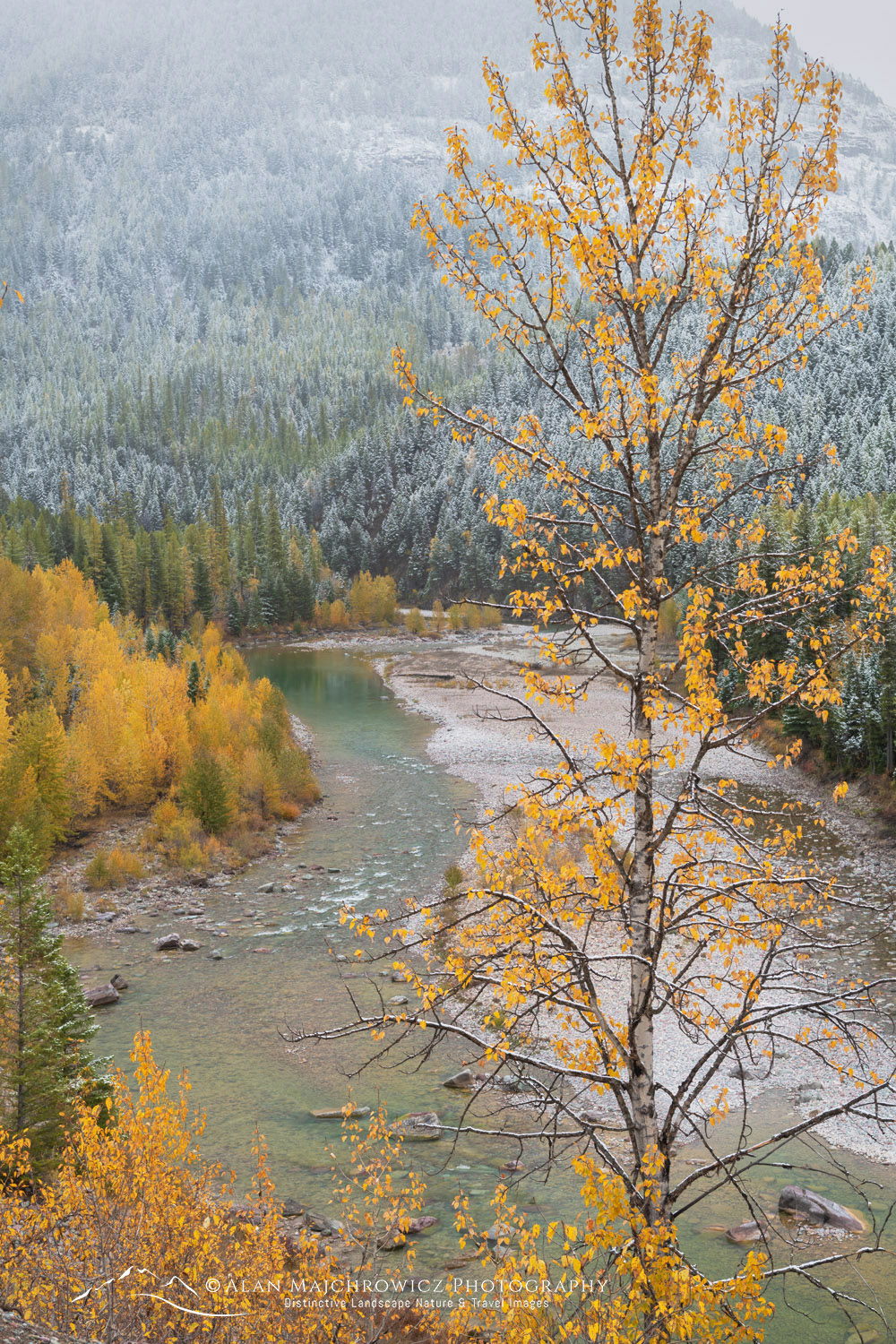 Autumn snow along the Middle Fork Flathead River. Glacier National Park, Montana