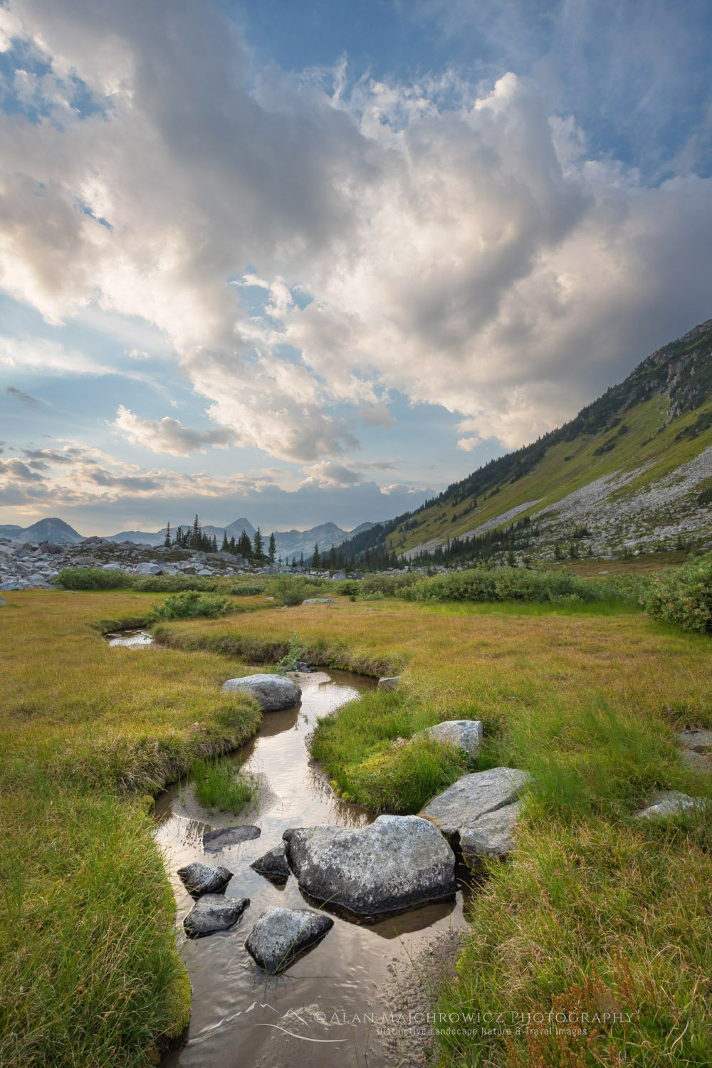 Dramatic clouds over alpine meadows below Mount Rohr. Coast Range, British Columbia