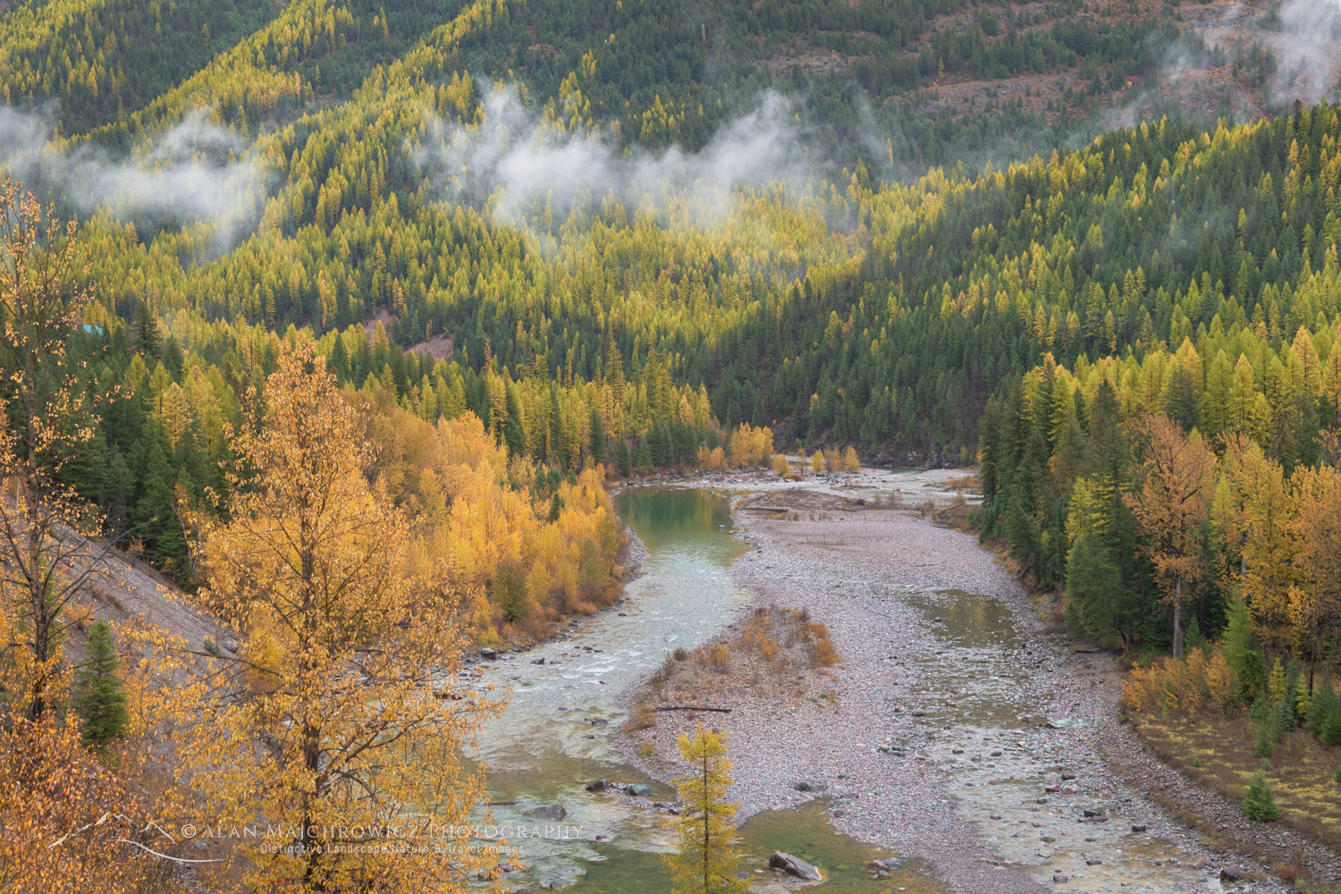 Fall foliage along the Middle Fork Flathead River. Glacier National Park, Montana