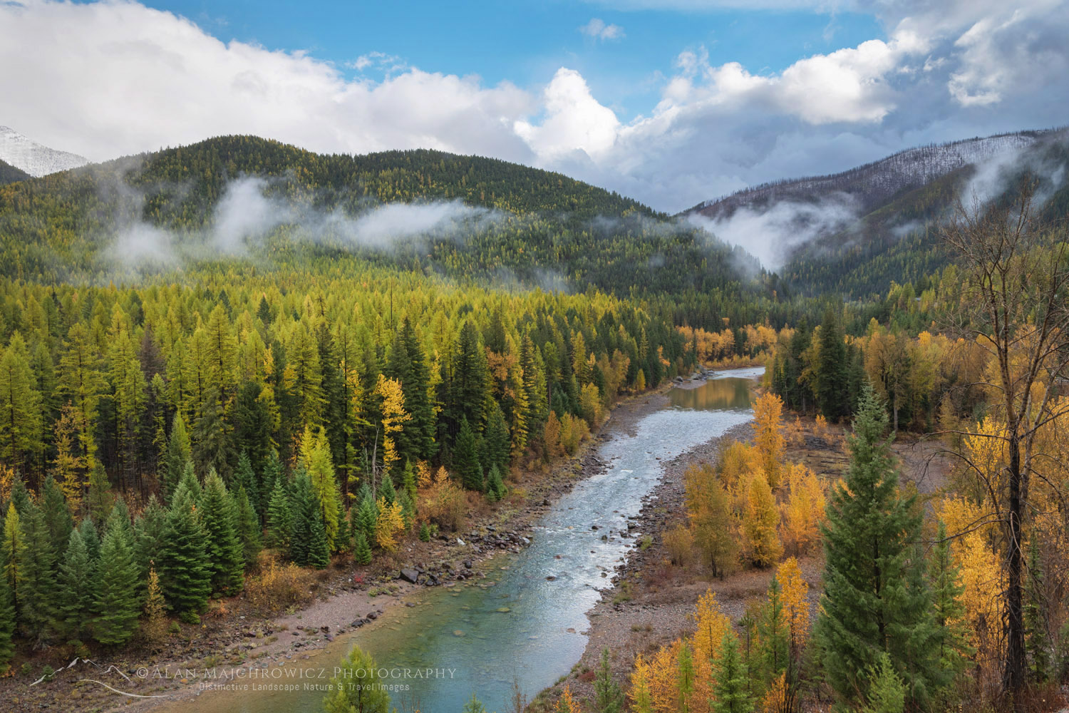 Fall foliage along the Middle Fork Flathead River. Glacier National Park, Montana