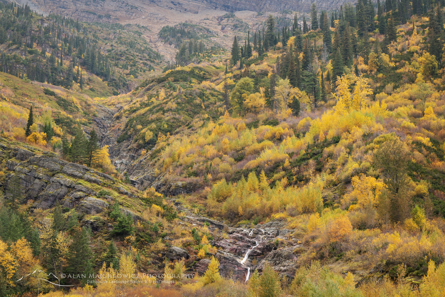 Autumn foliage Glacier National Park Montana