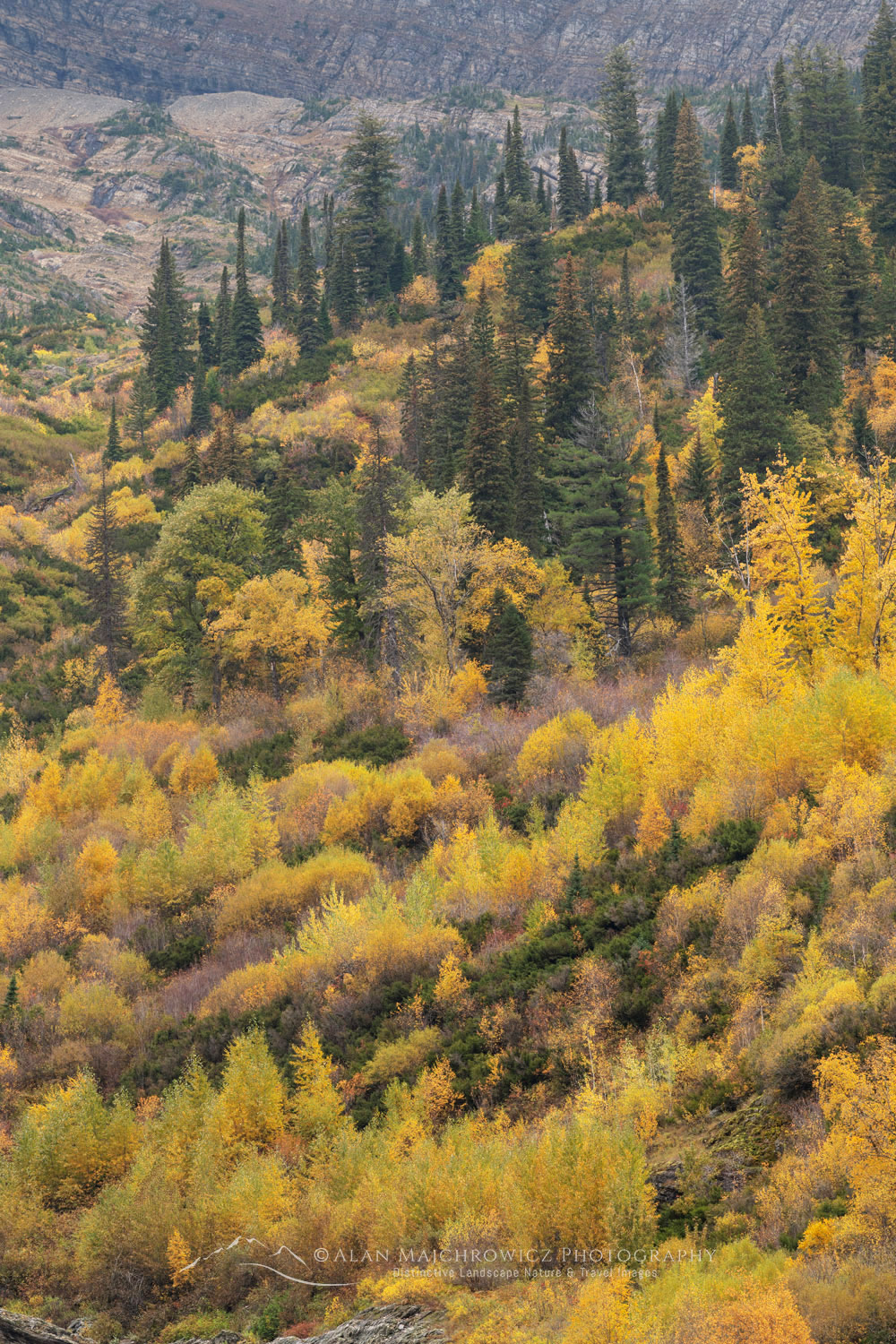 Autumn foliage Glacier National Park Montana