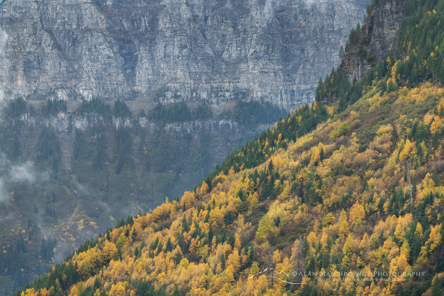 Autumn foliage along Going To The Sunn Road, Glacier National Park