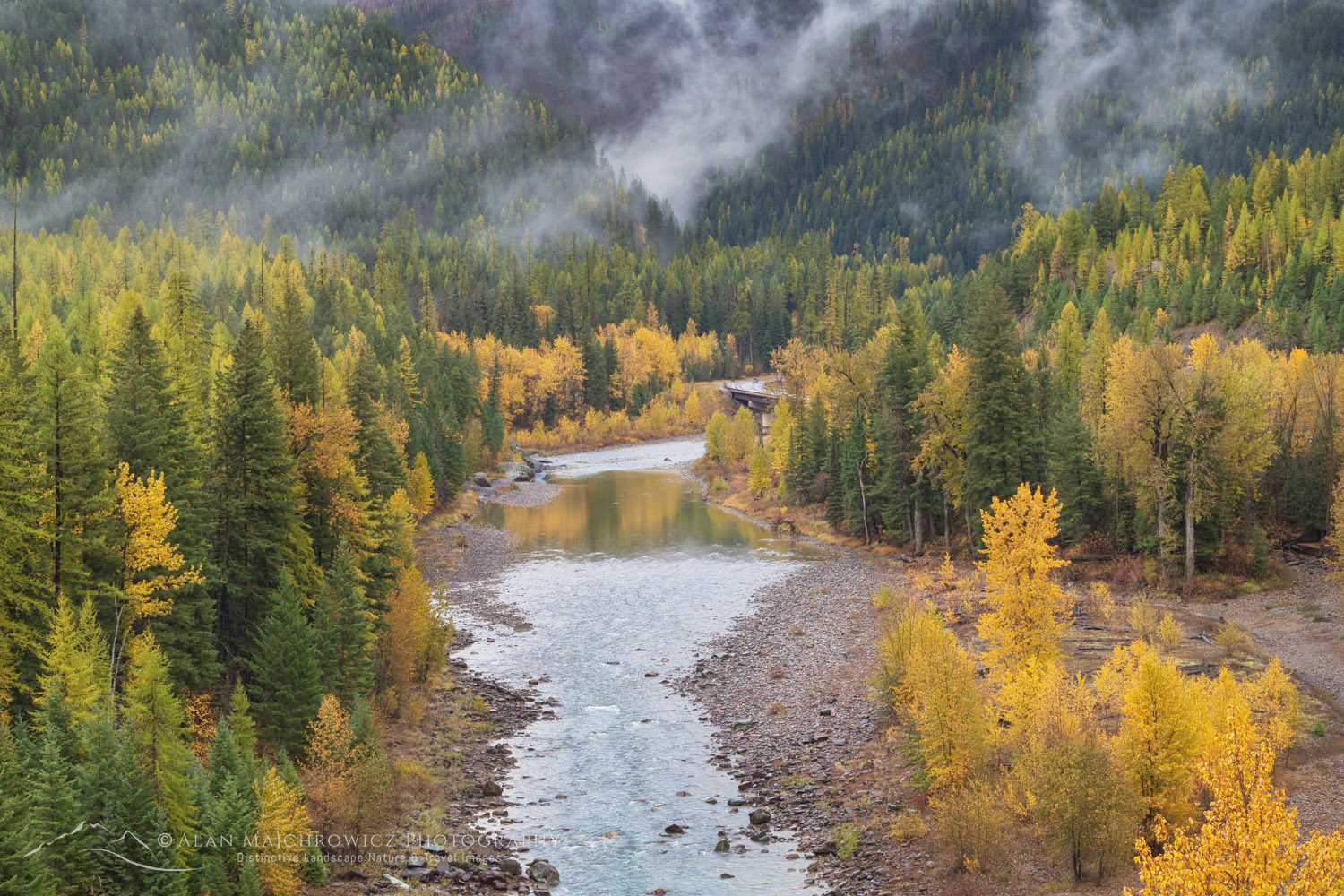 Fall foliage along the Middle Fork Flathead River. Glacier National Park, Montana