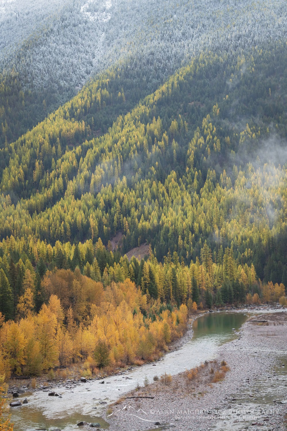 Fall foliage along the Middle Fork Flathead River. Glacier National Park, Montana