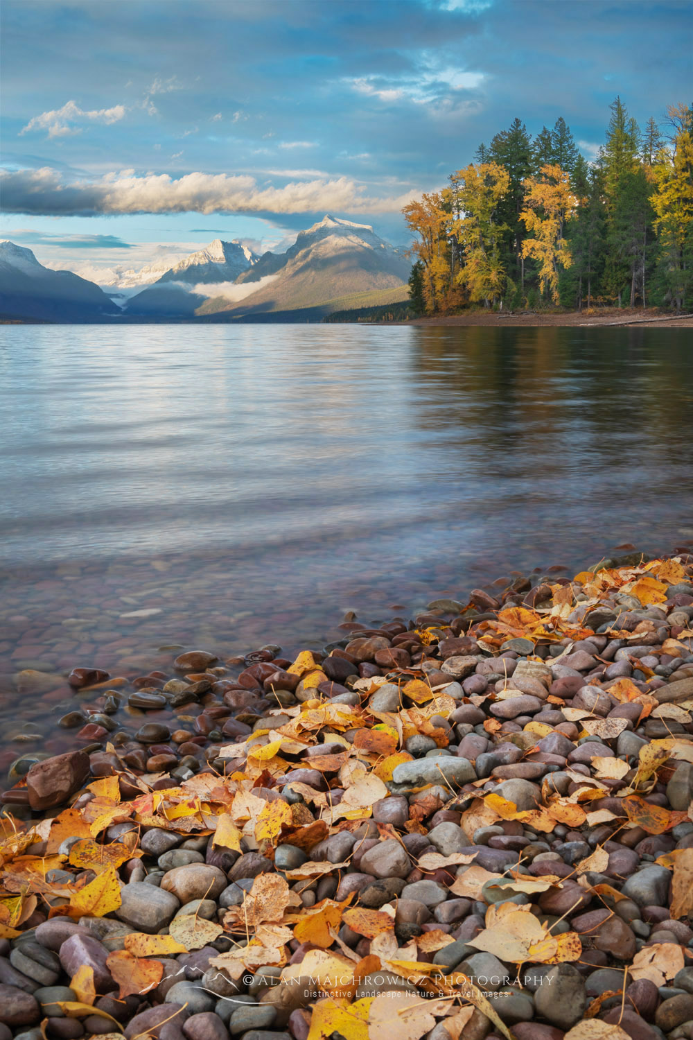 Autumn foliage along Lake McDonald. Glacier National Park, Montana