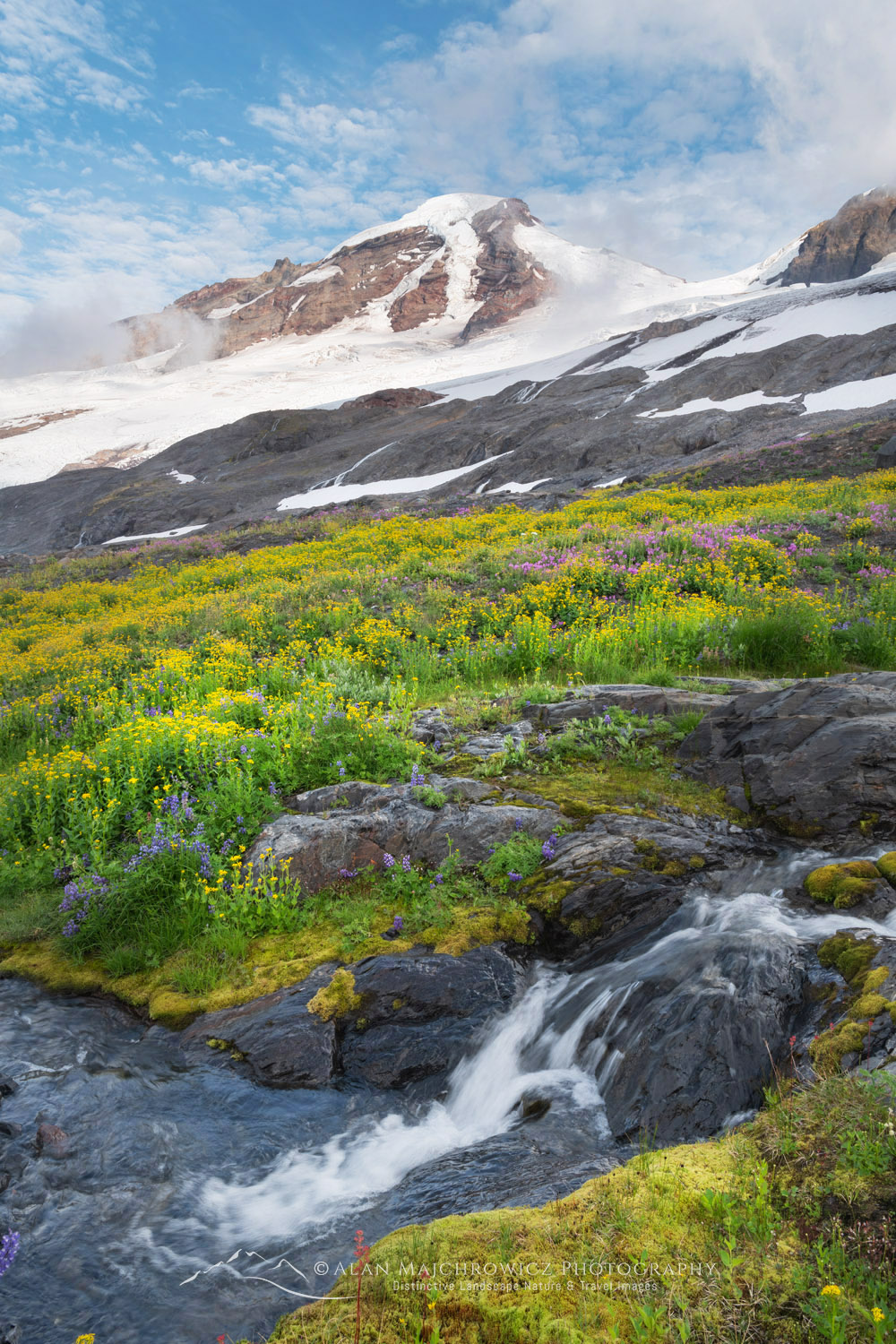 View of Mount Baker and wildflowers on Heliotrope Ridge. Mount Baker Wilderness, North Cascades Washington