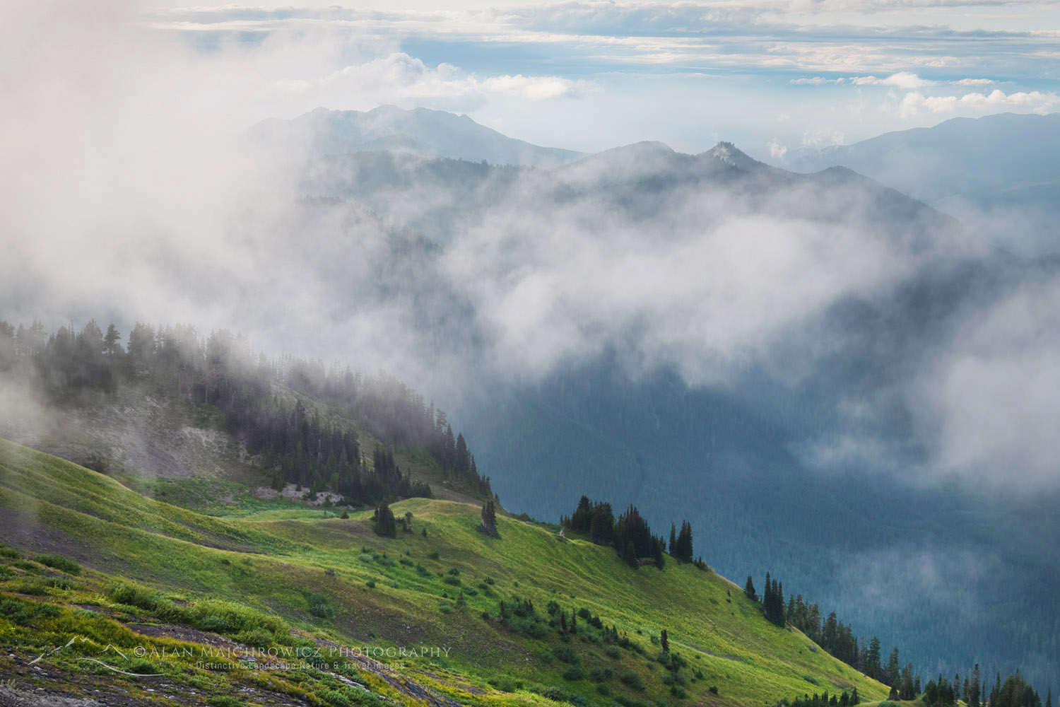 Fog over Heliotrope Ridge. Mount Baker Wilderness, North Cascades Washington