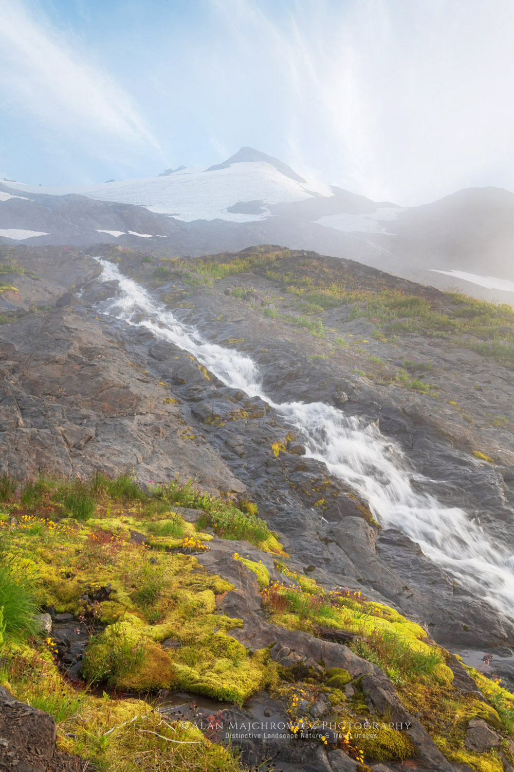 Cascading stream on Heliotrope Ridge. Mount Baker Wilderness, North Cascades, Washington