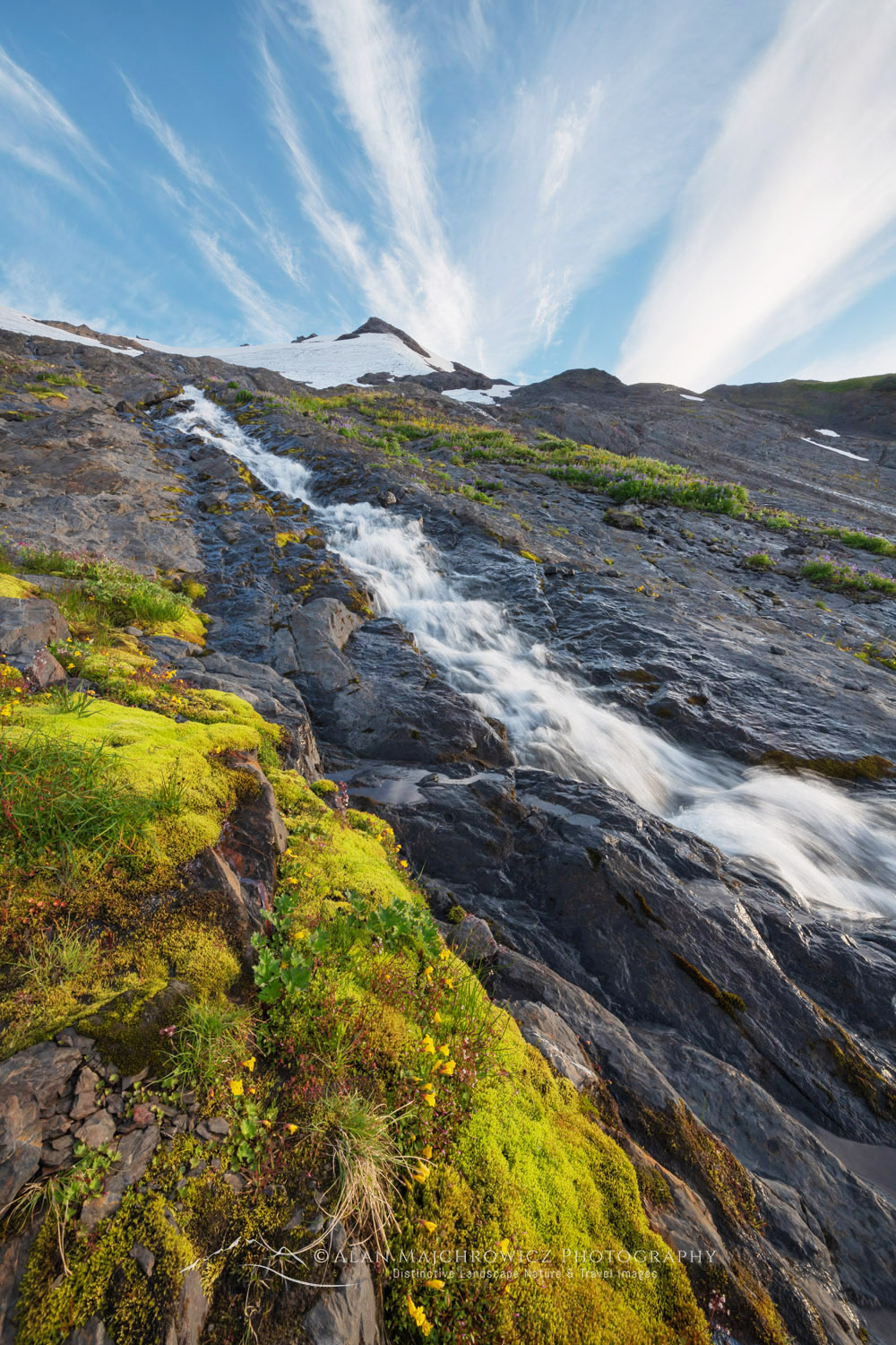 Cascading stream on Heliotrope Ridge. Mount Baker Wilderness, North Cascades, Washington