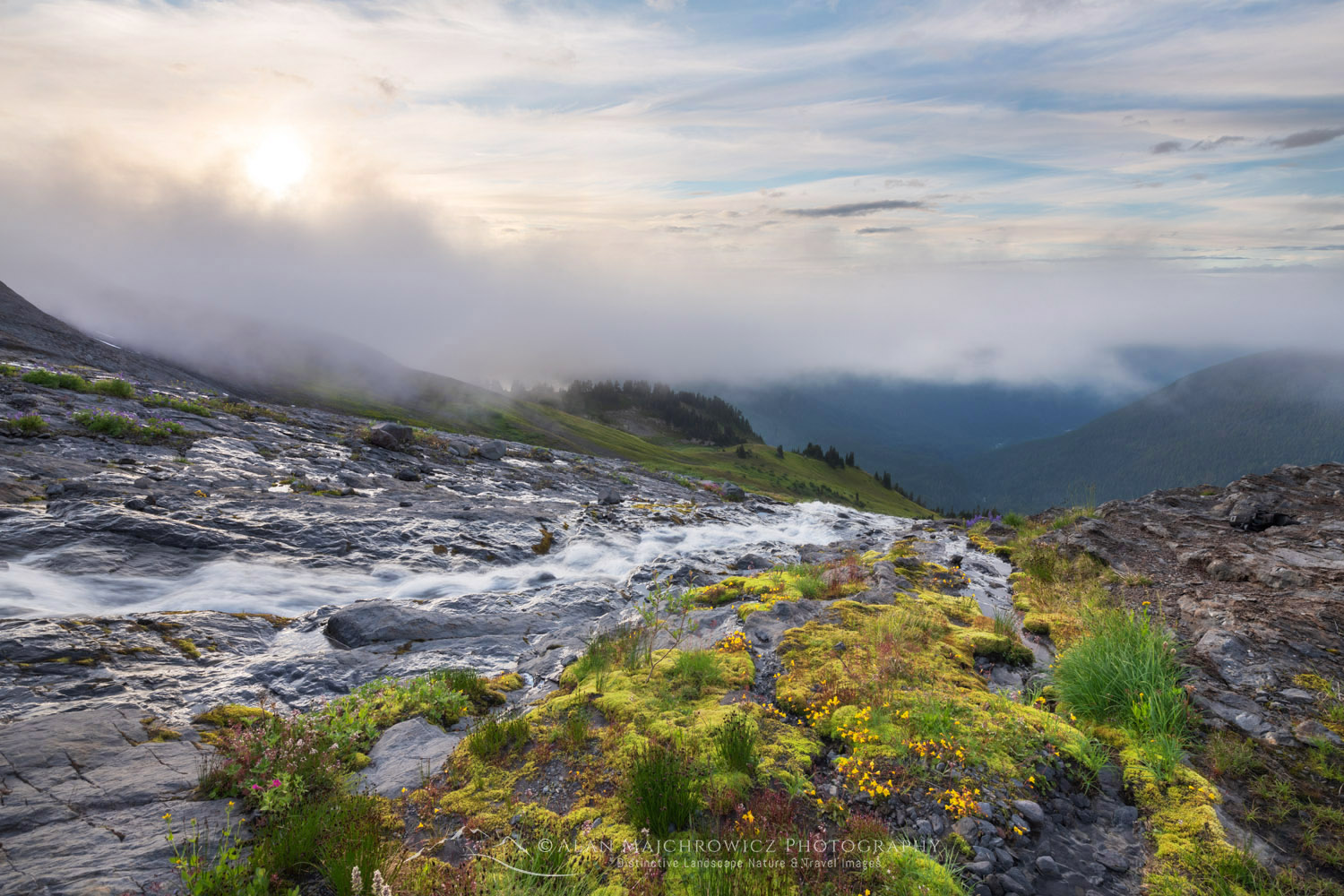 Cascading stream on Heliotrope Ridge. Mount Baker Wilderness, North Cascades, Washington