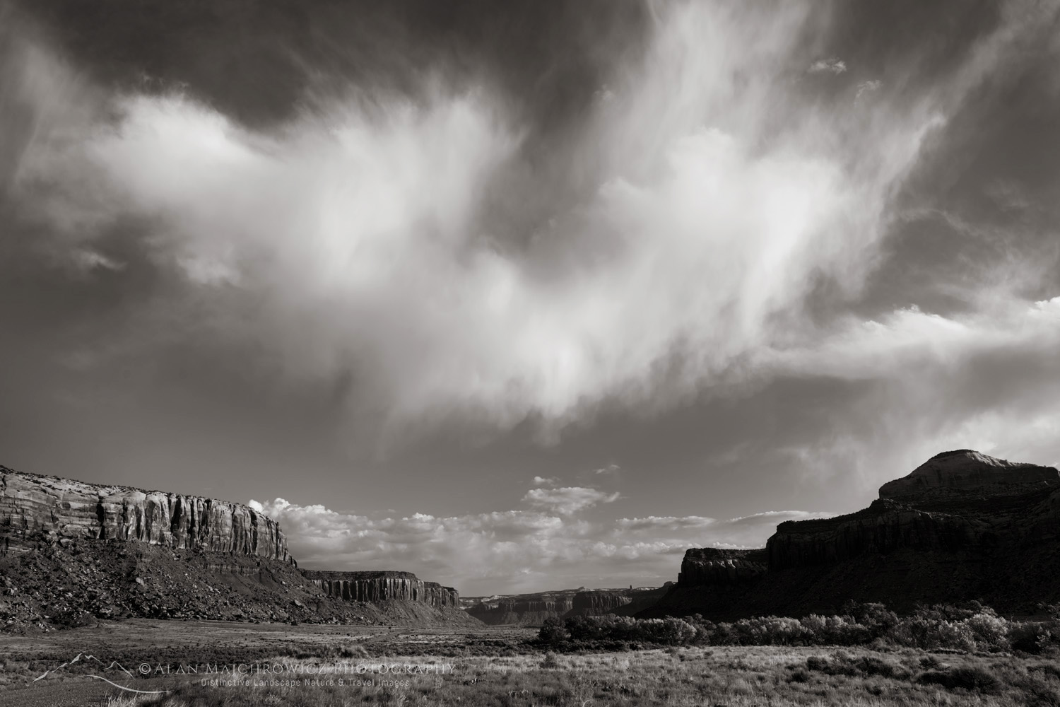 Cottonwood Creek Valley, Bears Ears National Monument Utah #85413bw