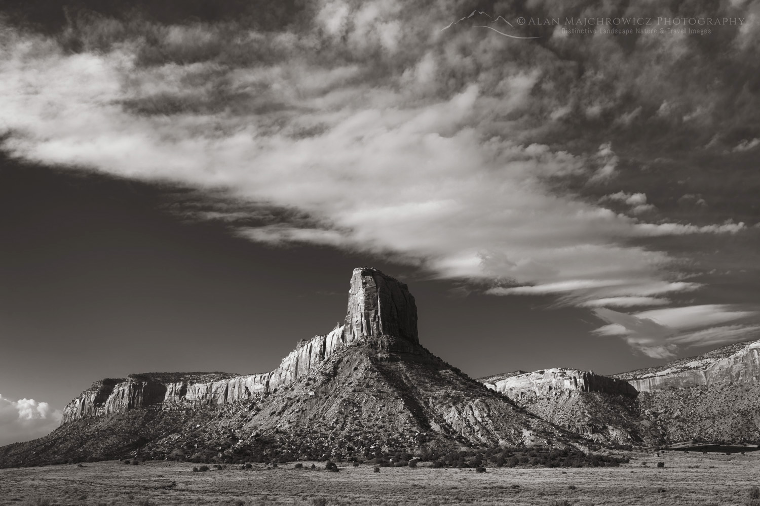 Cottonwood Creek Valley, Bears Ears National Monument Utah #85417bw