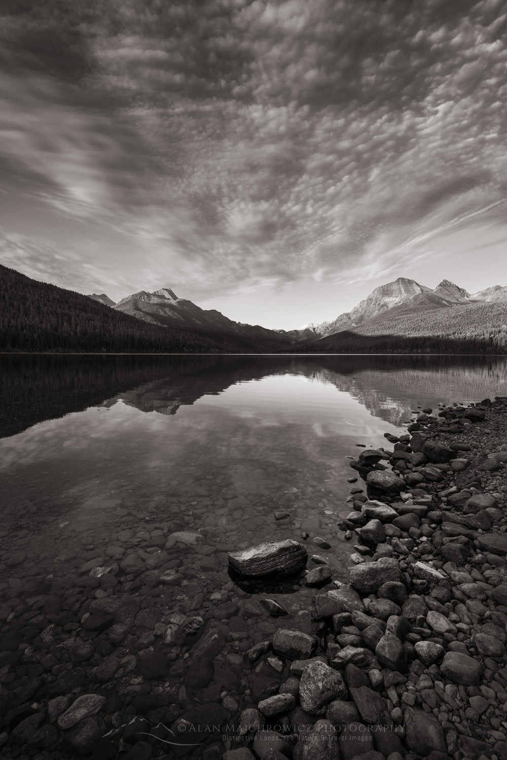 Bowman Lake, Numa Peak (L), and Rainbow Peak in the distance. Glacier National Park, Montana #87429bw