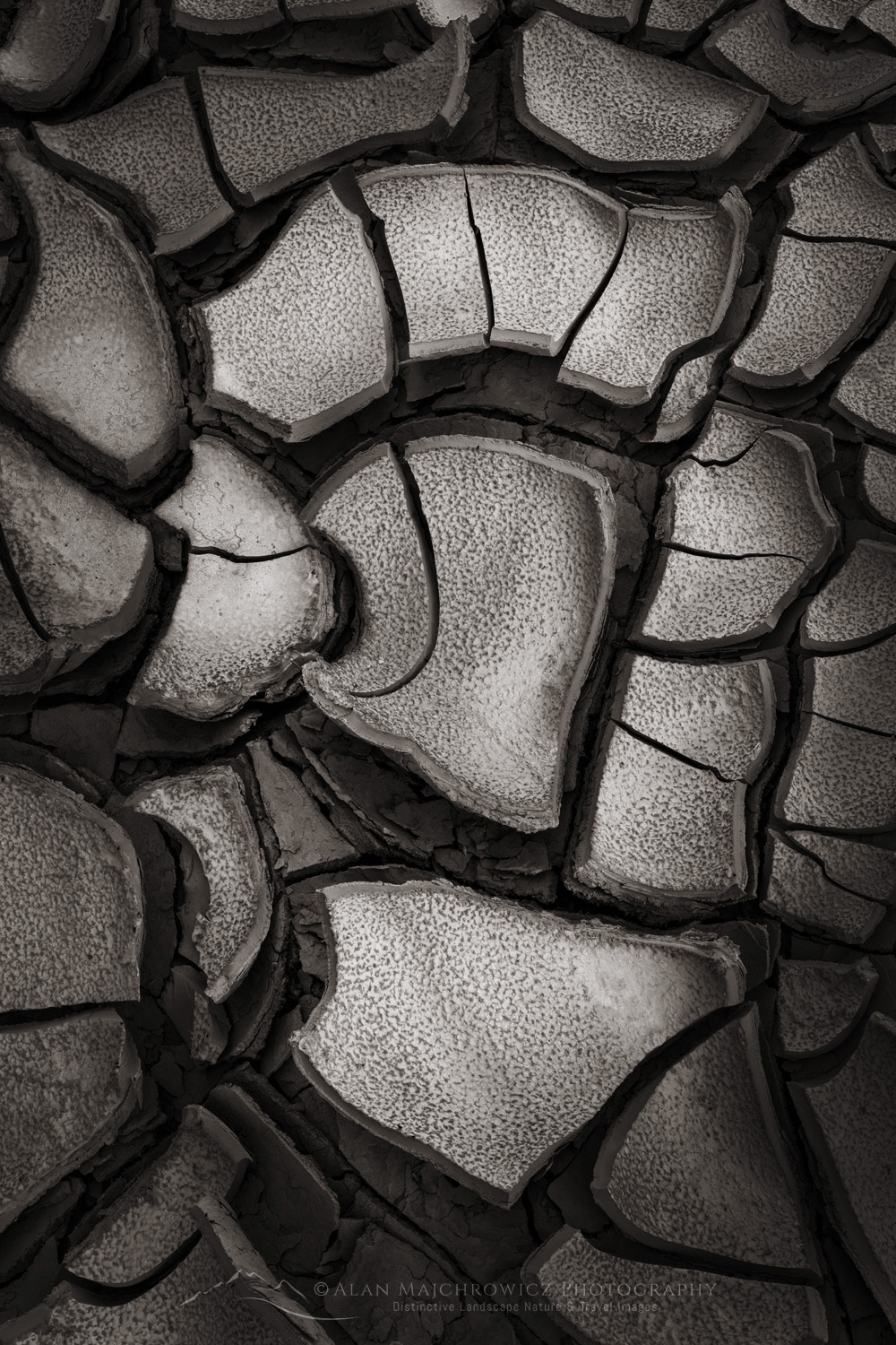 Cracked mud patterns in Harris Wash, Grand Staircase-Escalante National Monument, Utah #84618bw